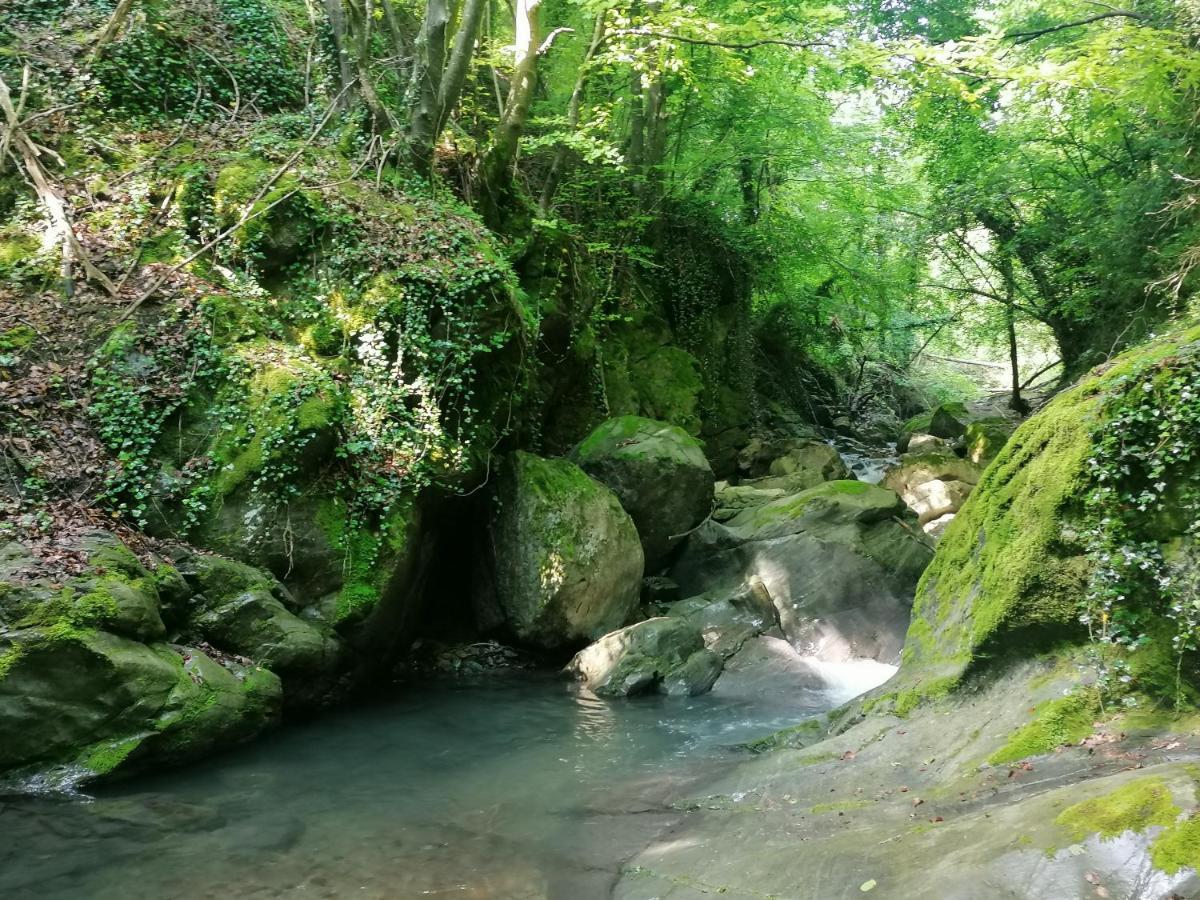Les Pedres Villa Camprodon Kültér fotó