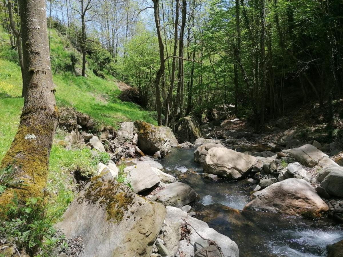 Les Pedres Villa Camprodon Kültér fotó