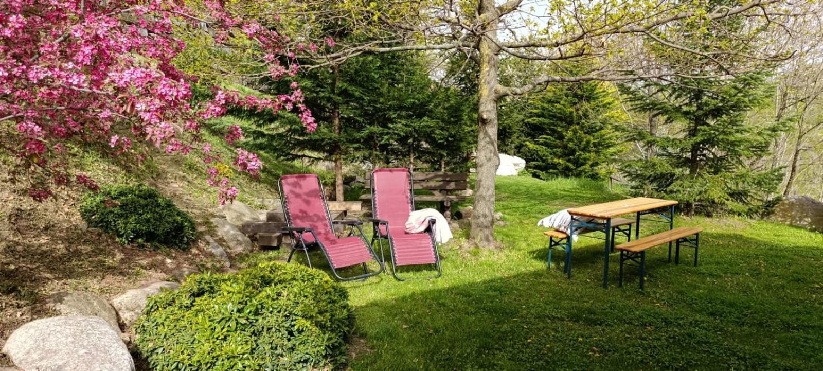 Les Pedres Villa Camprodon Kültér fotó